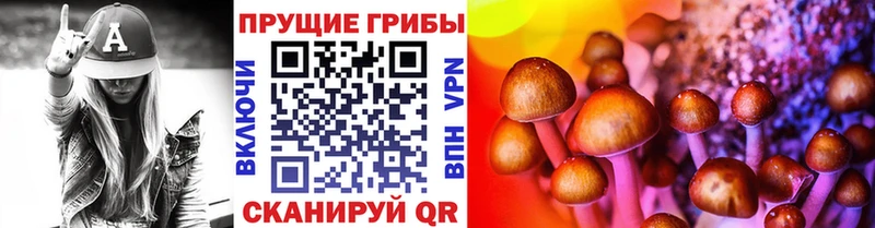 Псилоцибиновые грибы Psilocybe Родники